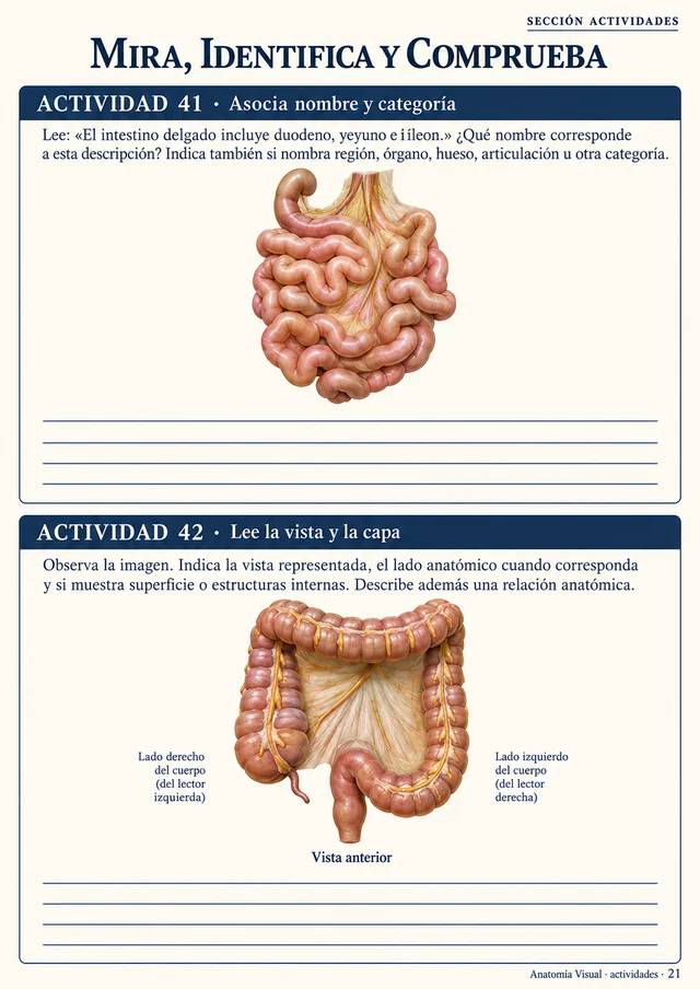 Página del Cuaderno de repaso