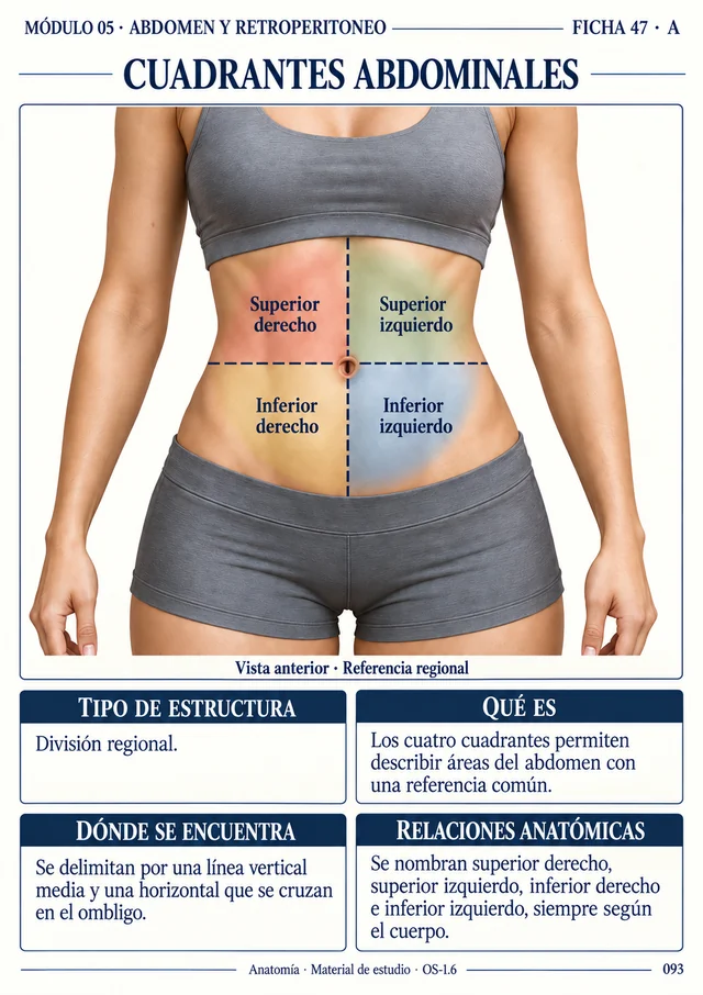 Ficha 47 A: Cuadrantes abdominales